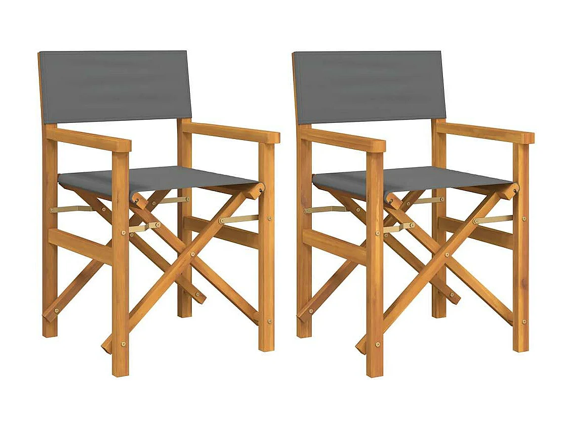 Chaises de metteur en scène pliantes lot de 2 Bois teck massif