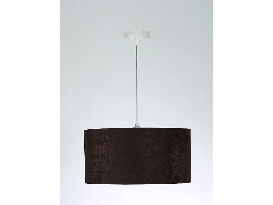 Suspension Standard Home