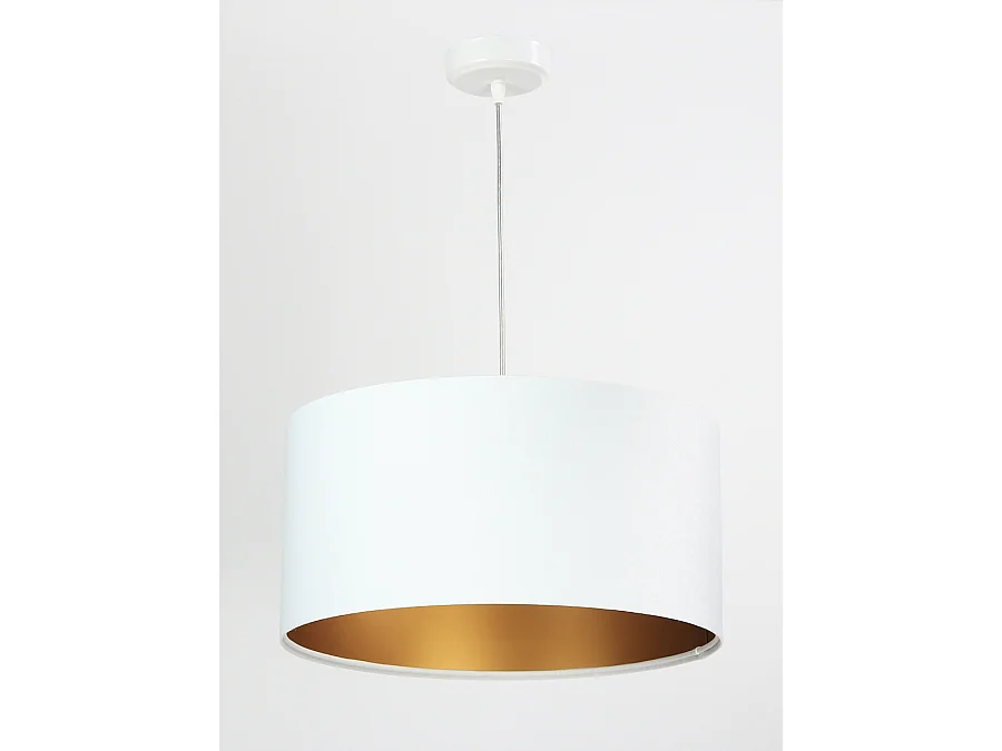 Suspension Standard Home