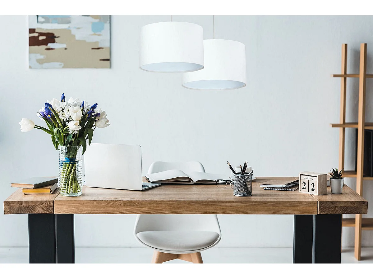 Suspension Standard Home