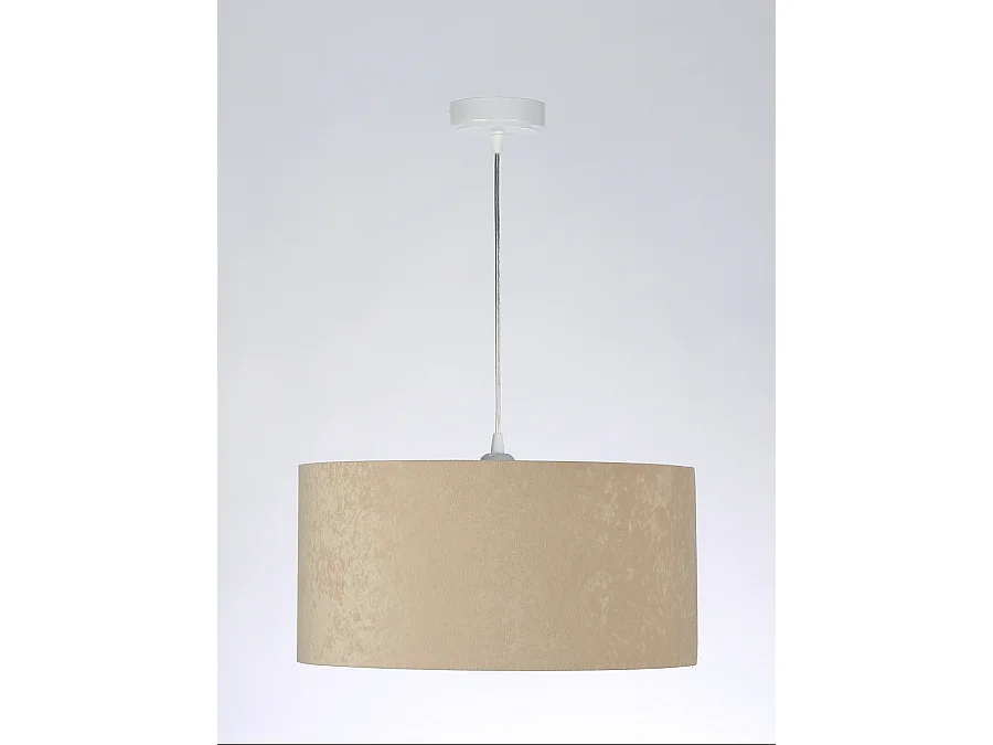 Suspension Standard Home