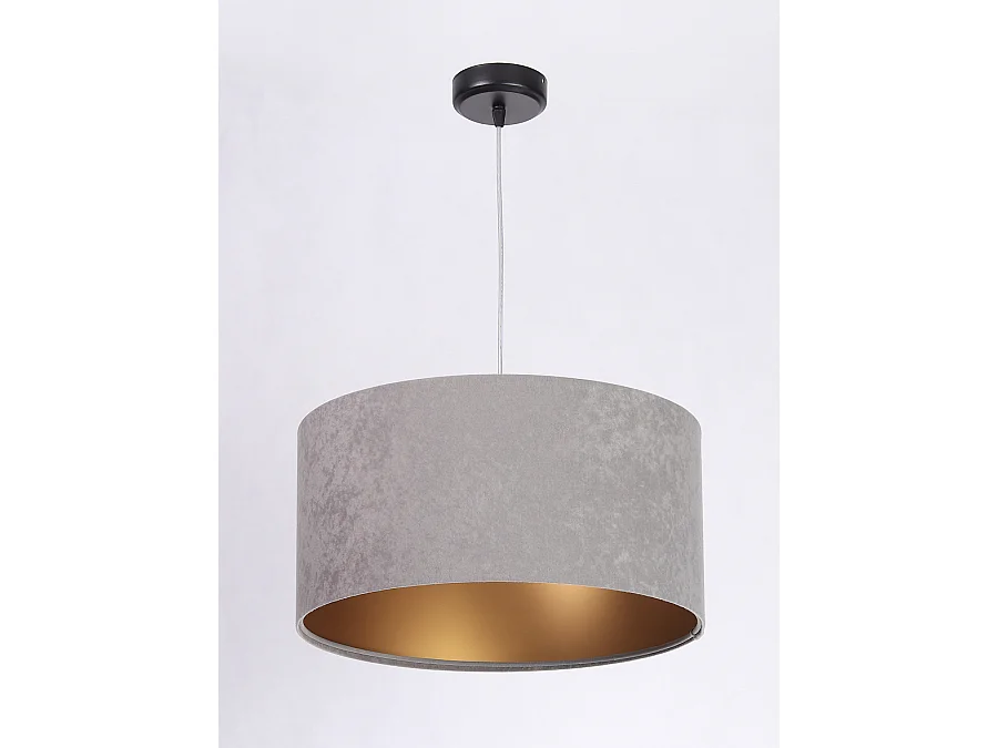 Suspension Standard Home