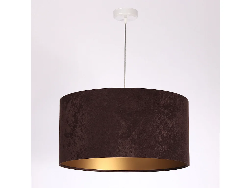 Suspension Standard Home