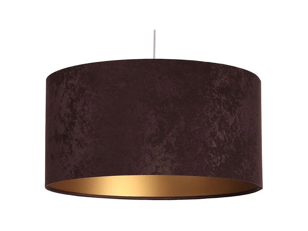 Suspension Standard Home