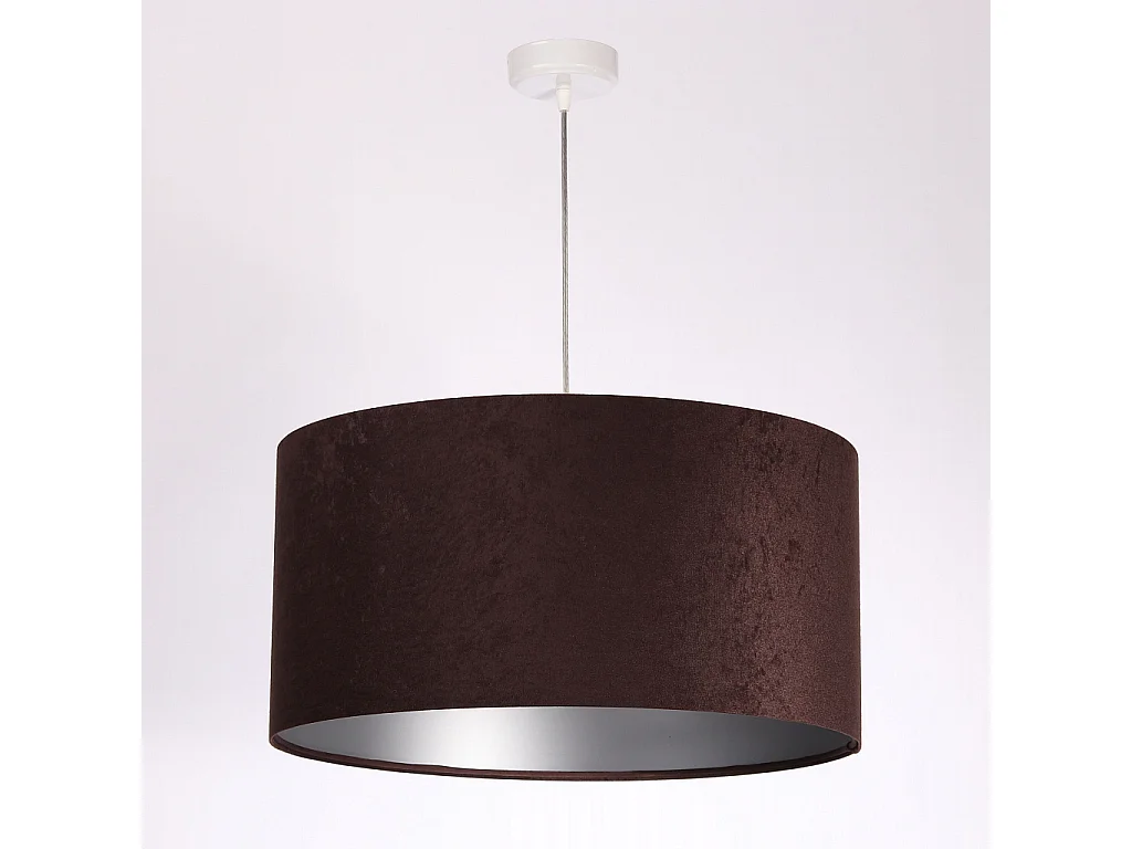 Suspension Standard Home