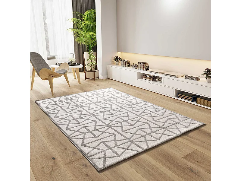 Laagpolig tapijt - geometrisch met reliëf - zilverkleurig - 80x150 cm - FLORA