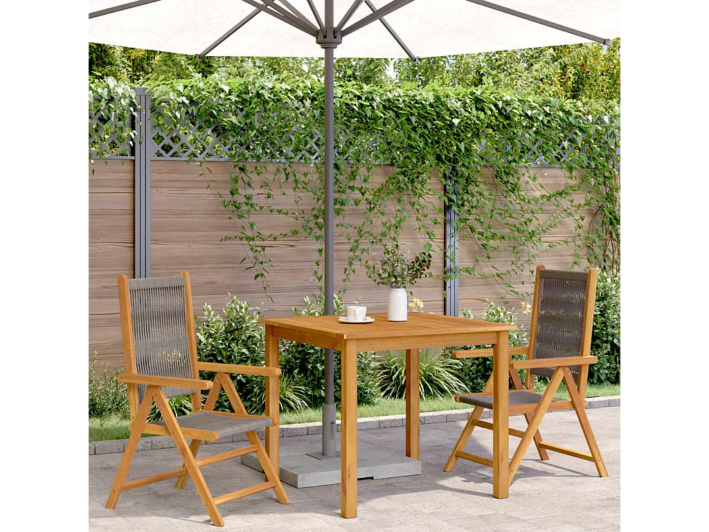 Chaises de jardin lot de 2 gris bois d'acacia et polypropylène