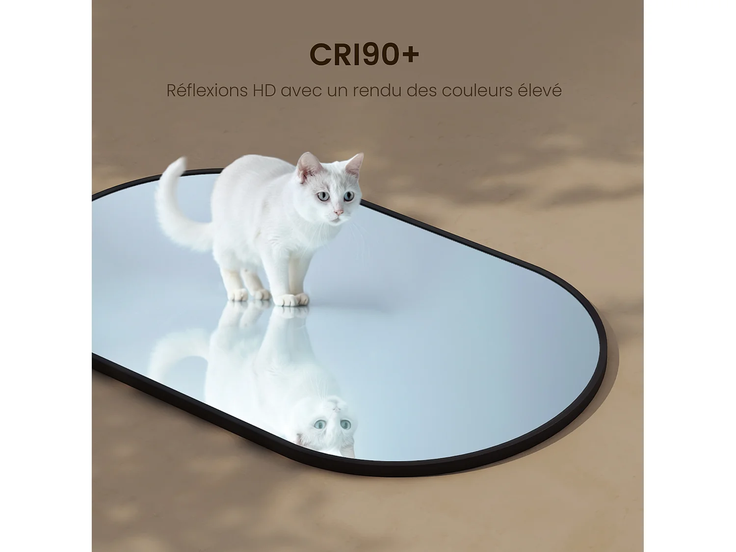 EMKE Miroir mural 60 × 100 cm Miroir ovale avec cadre noir, Miroir non lumineux salle de bain