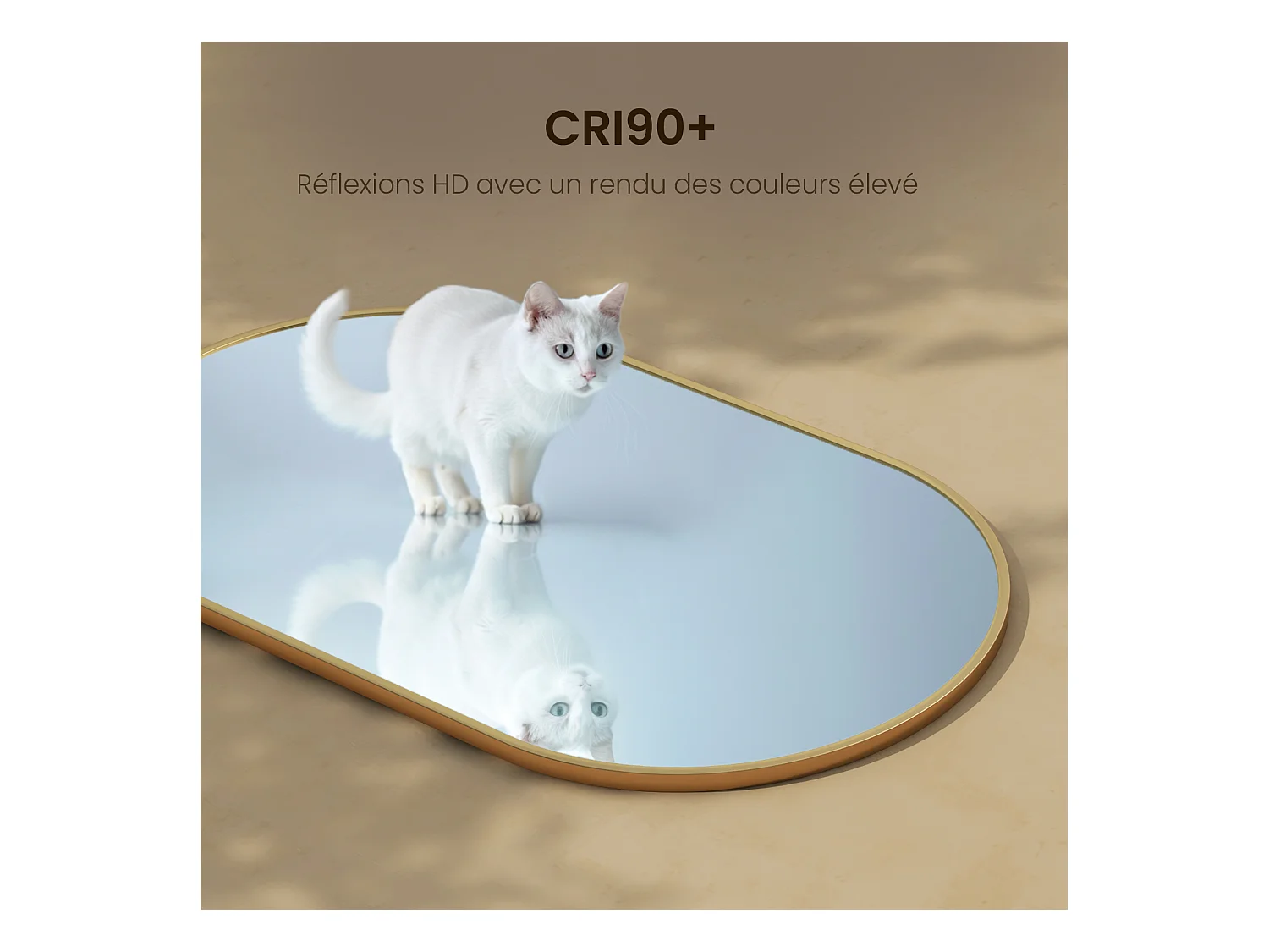 EMKE Miroir mural 60 × 80 cm Miroir ovale avec cadre doré, Miroir non lumineux salle de bain