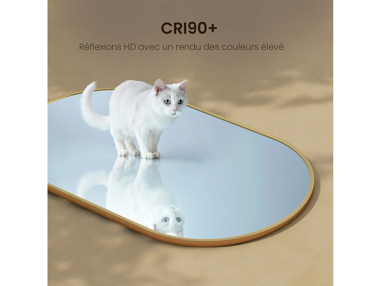 EMKE Miroir mural 60 × 80 cm Miroir ovale avec cadre doré, Miroir non lumineux salle de bain