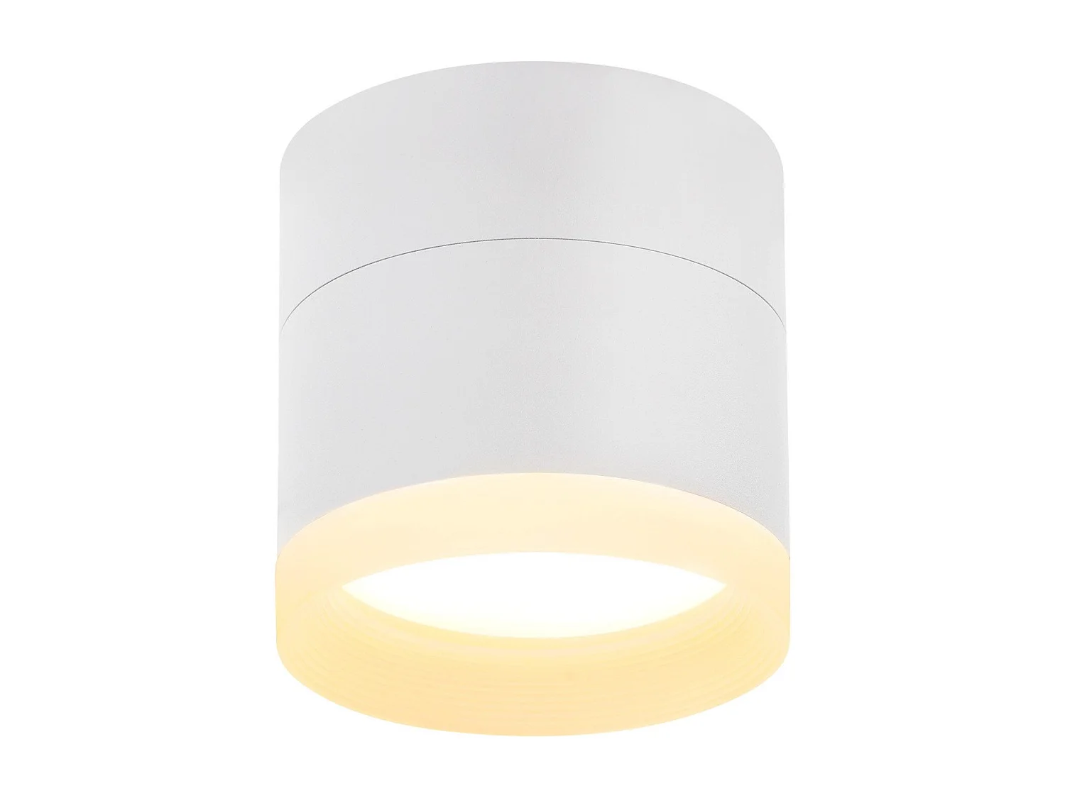 NETTLIFE Spot en saillie LED Spot de plafond rond blanc 5W spot en saillie petit acrylique