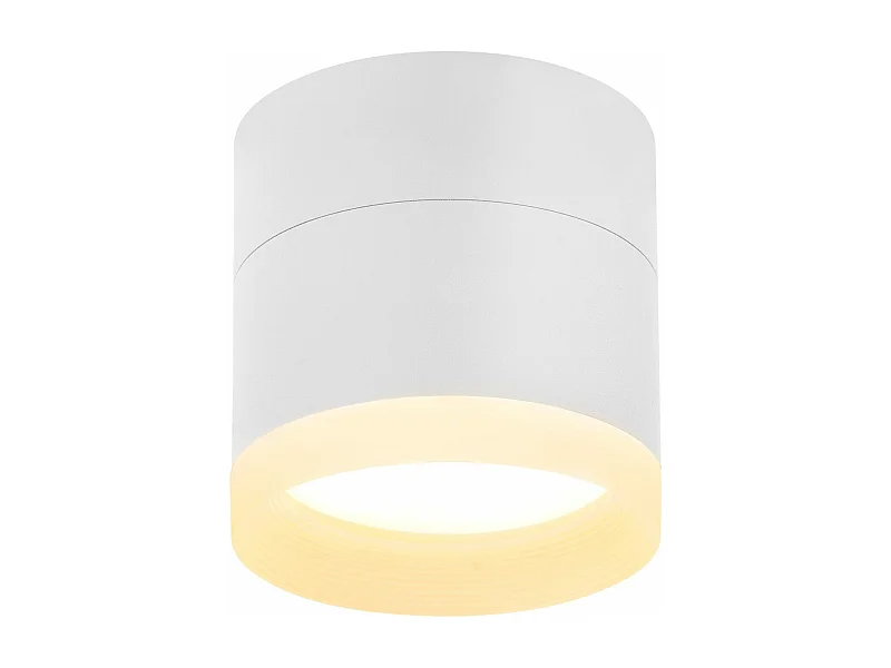 NETTLIFE Spot en saillie LED Spot de plafond rond blanc 5W spot en saillie petit acrylique