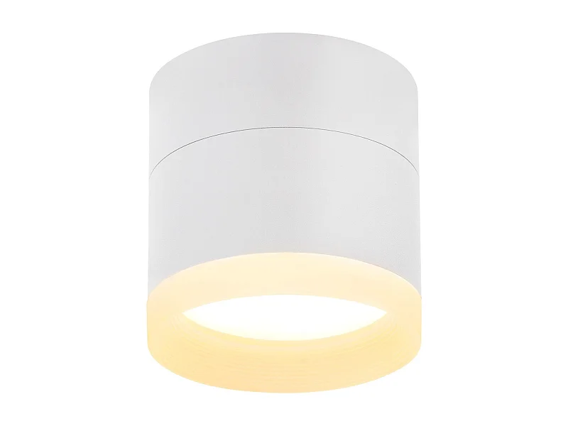 NETTLIFE Spot en saillie LED Spot de plafond rond blanc 5W spot en saillie petit acrylique