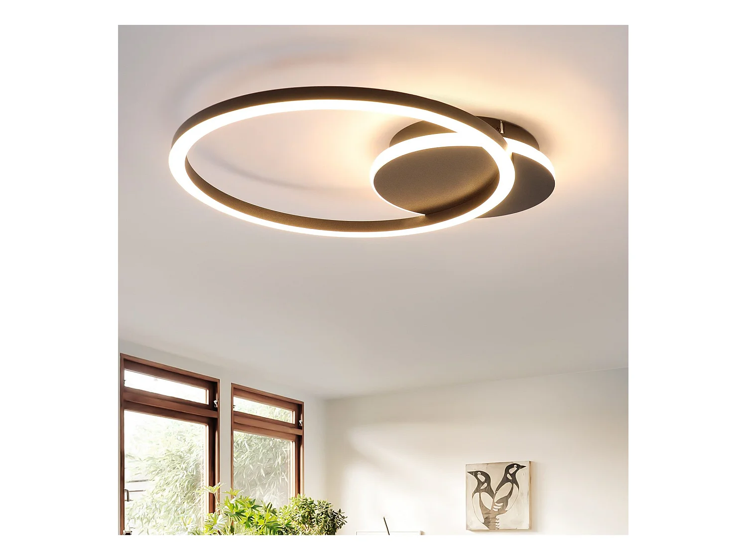 NETTLIFE LED Plafondlamp Woonkamer 24W Zwart Modern 2 Ringen 3000K Warm Wit