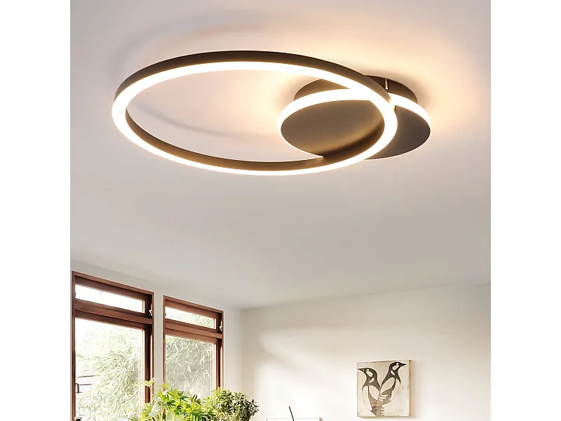 NETTLIFE LED Plafondlamp Woonkamer 24W Zwart Modern 2 Ringen 3000K Warm Wit