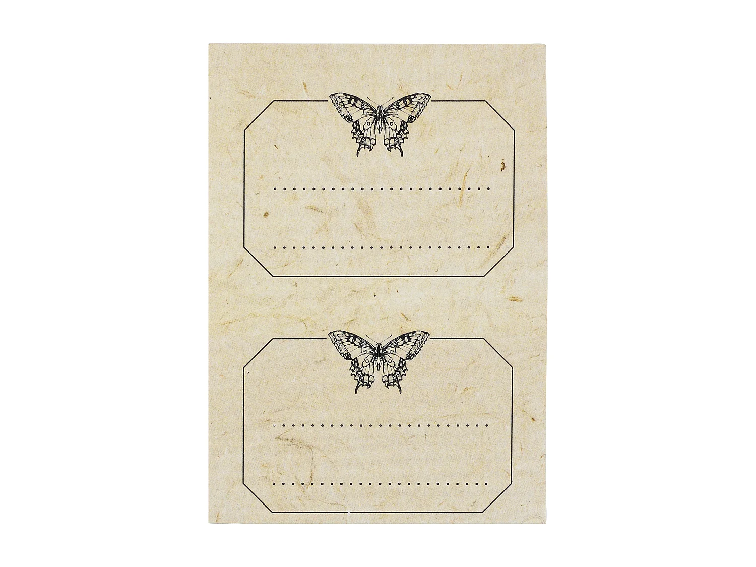 Diy Bougie Apothicaire Multicolore