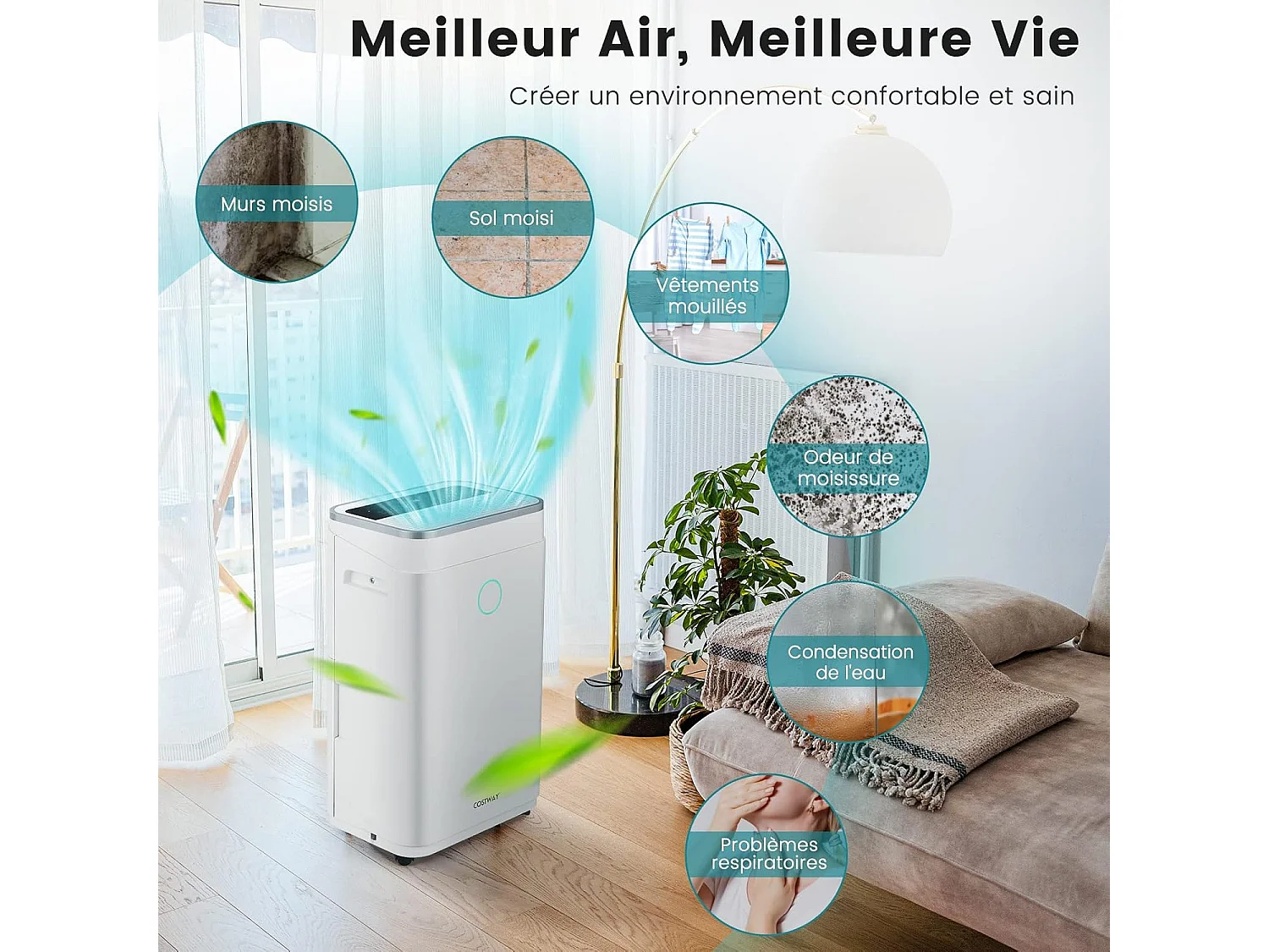 Déshumidificateur 25L/Jour Réservoir d'Eau 6,5L Minuterie 24H 2 Modes 2 Vitesses Dégivrage Automatique Pièces jusqu'à 30 m²