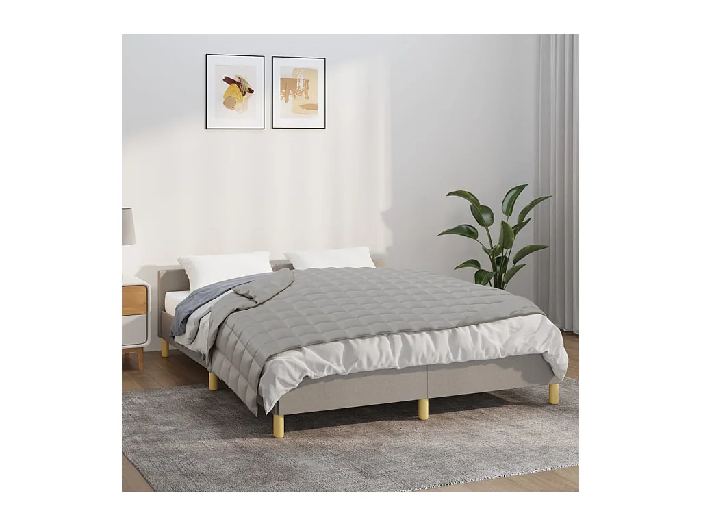 Couverture lestée Gris 138x200 cm 10 kg Tissu