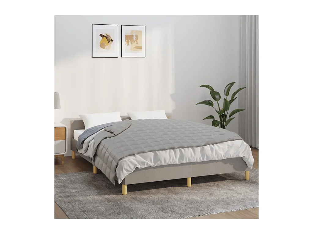 Couverture lestée Gris 140x200 cm 10 kg Tissu