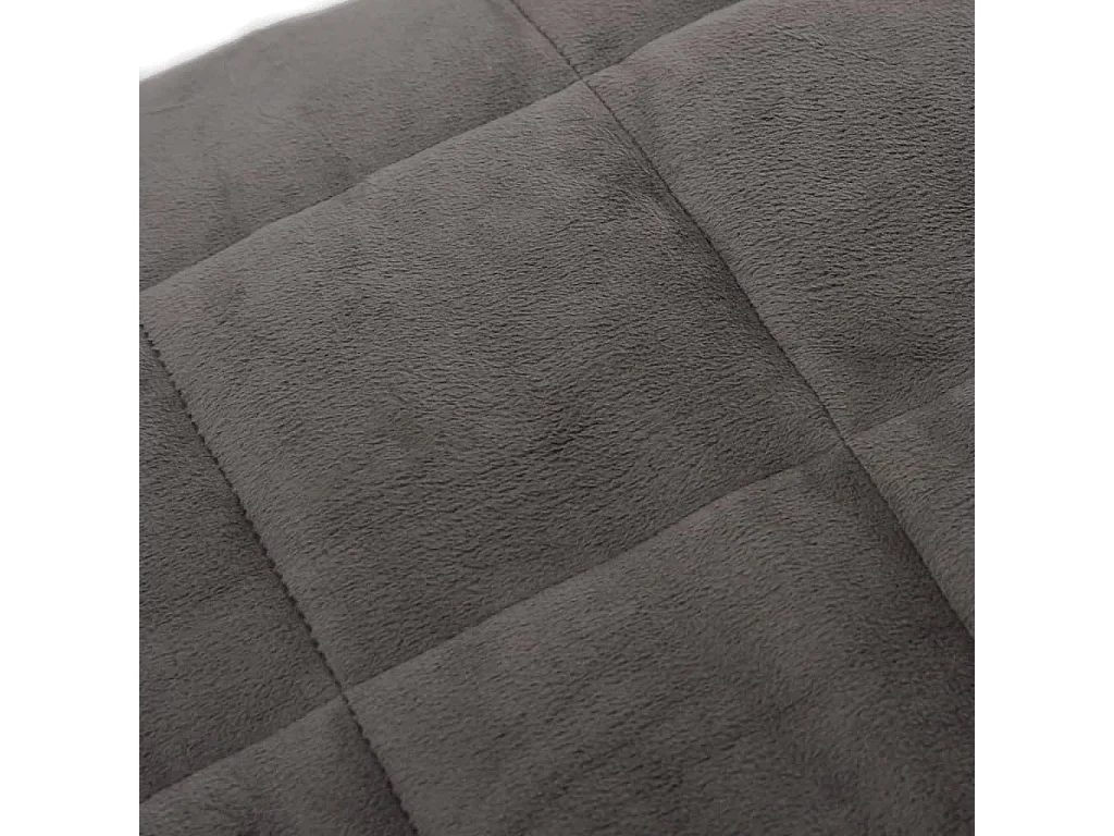 Couverture lestée Gris 140x200 cm 10 kg Tissu