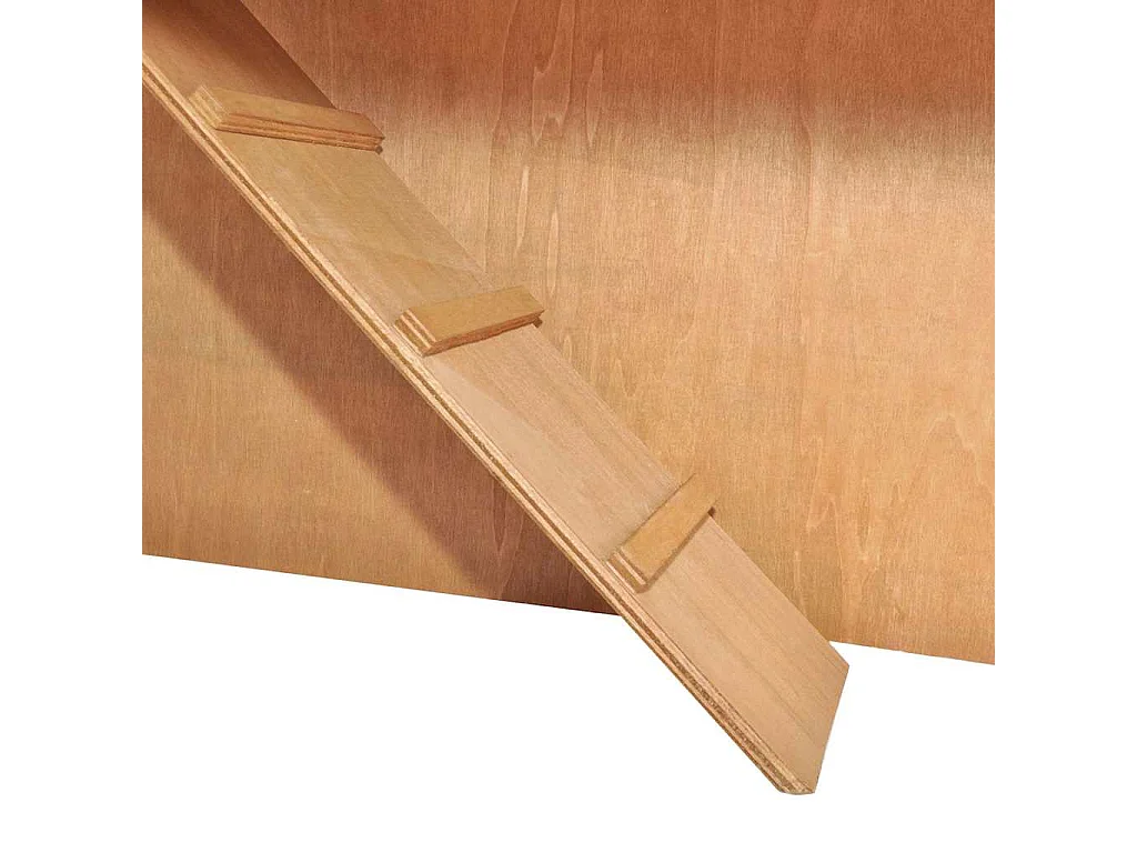 Clapier d'extérieur Enclos pour petits animaux 3 portes Bois