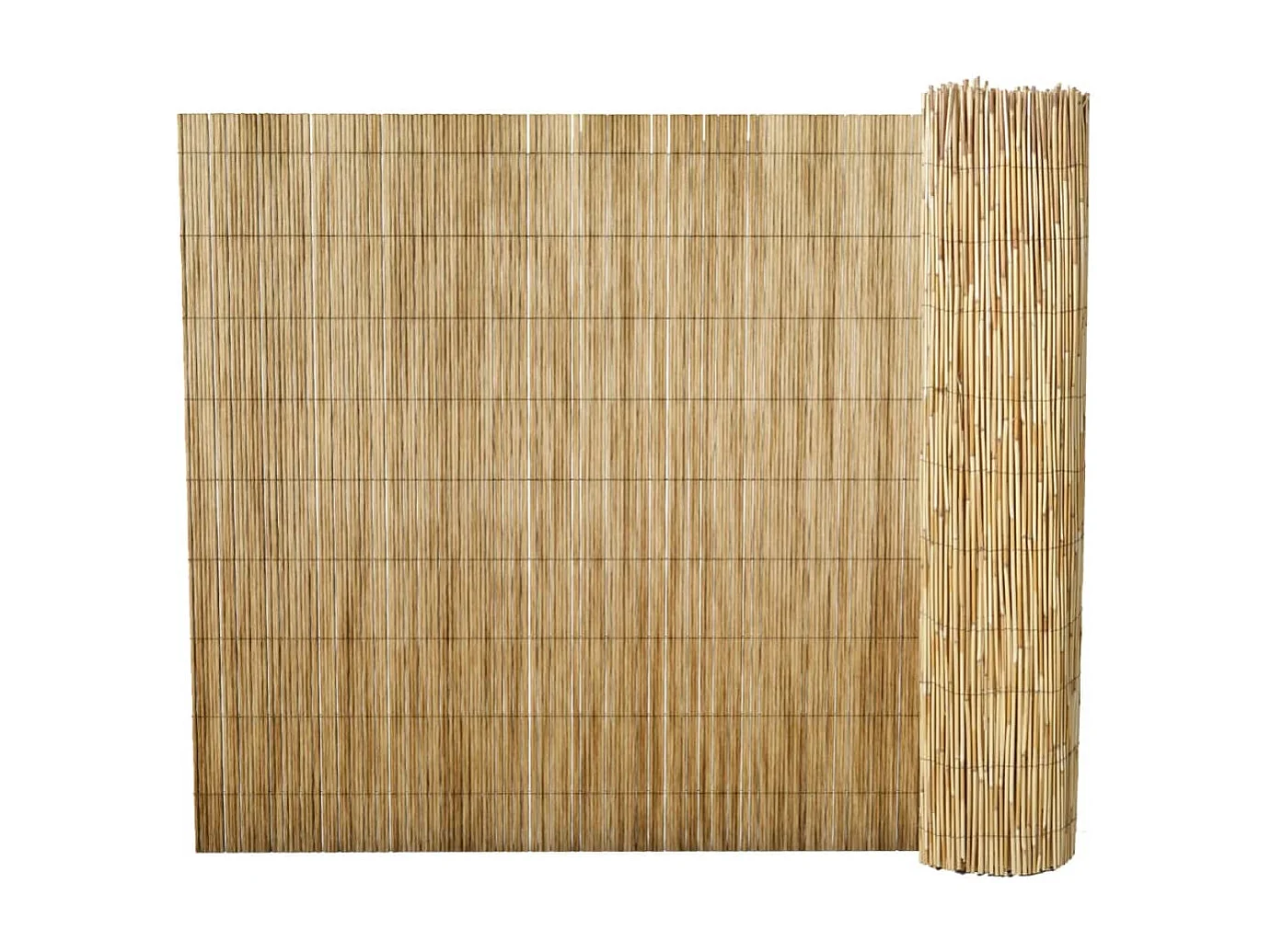 Recinzione da giardino in canne 100x1000 cm