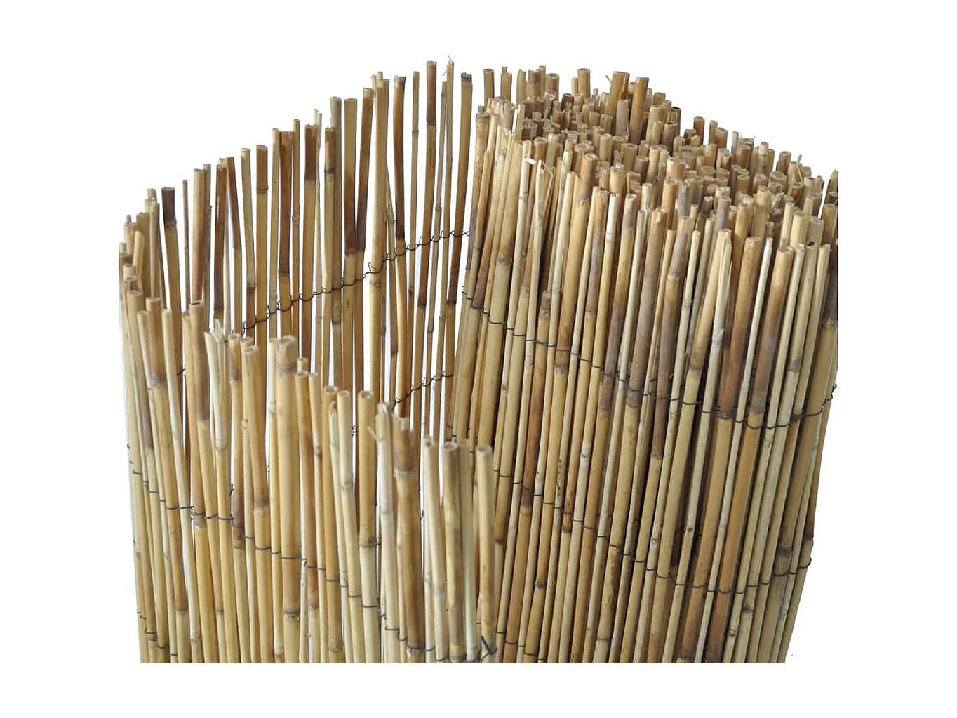 Recinzione da giardino in canne 100x1000 cm