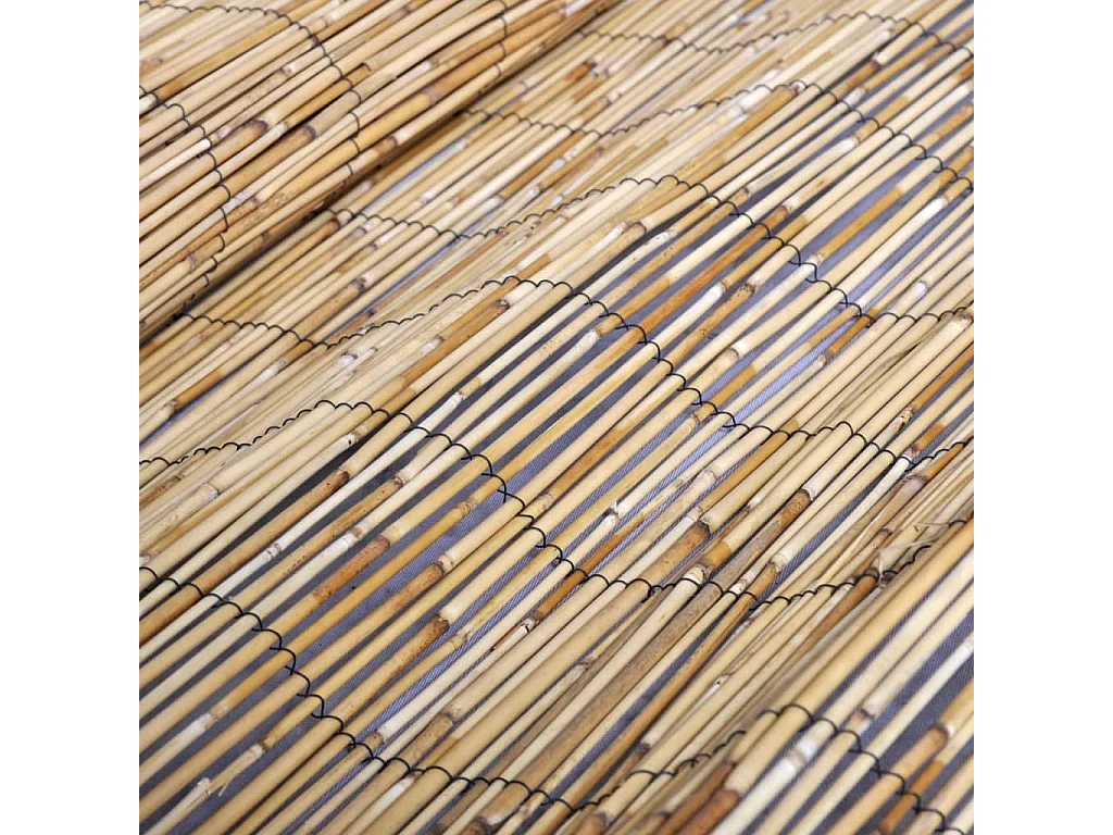 Recinzione da giardino in canne 100x1000 cm