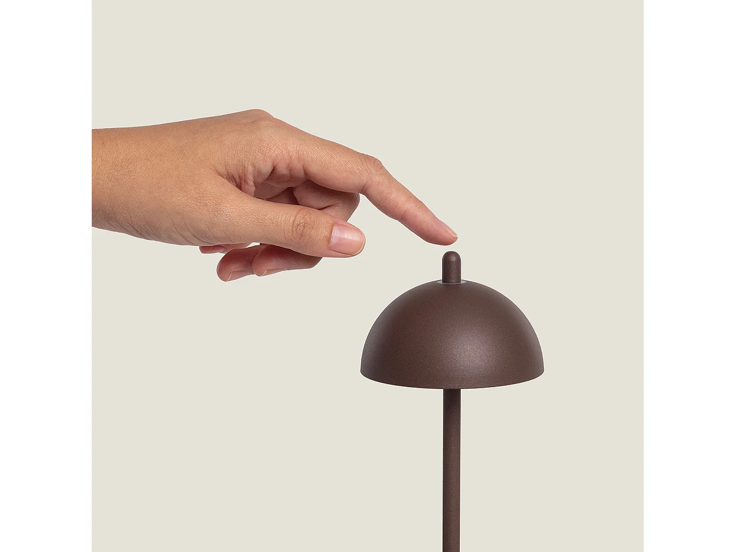 Lampe à Poser LED Portable Extérieure Métal avec Batterie Rechargeable Pirinoa Brun