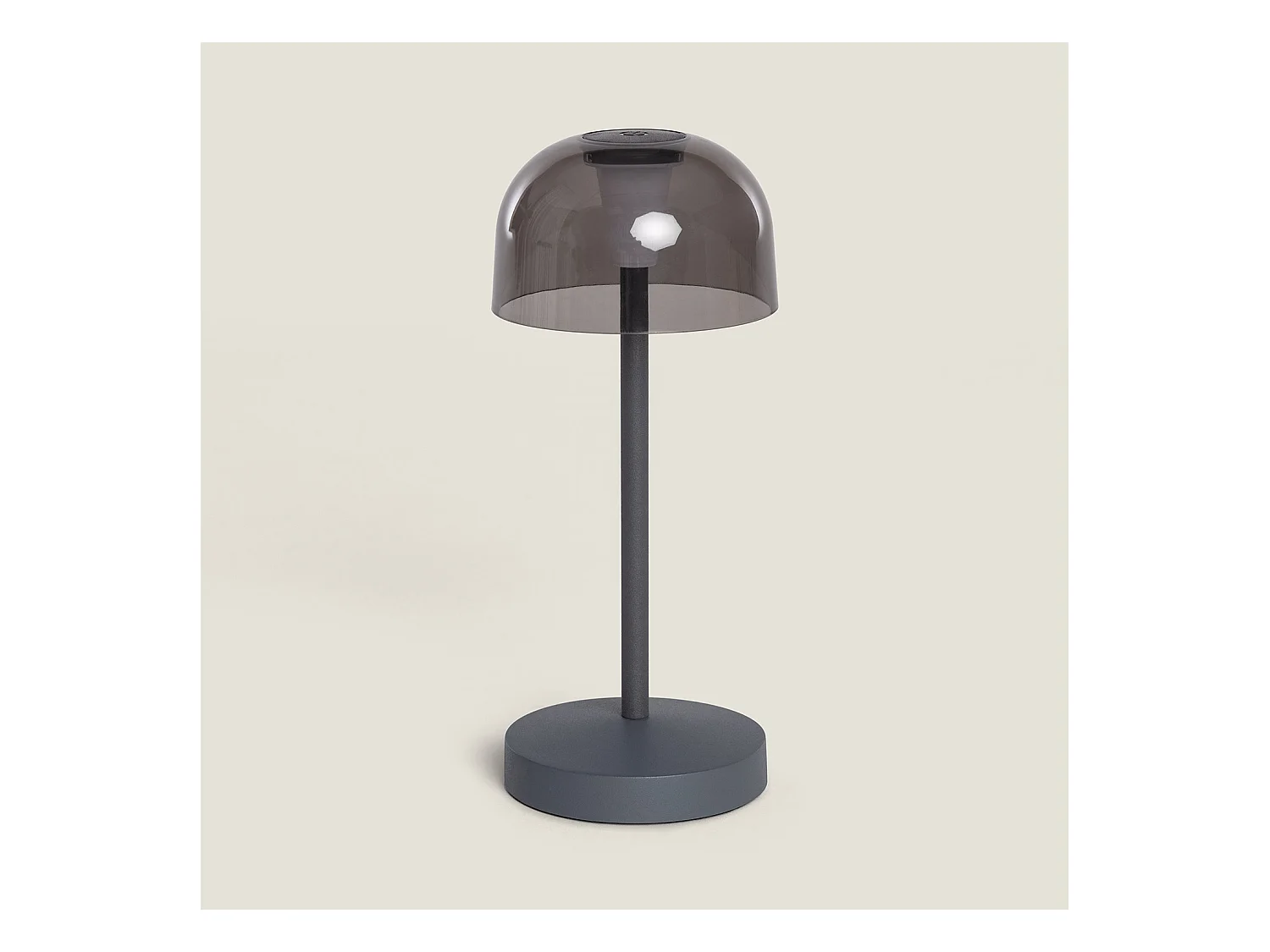 Lampe à Poser LED Portable Extérieur Métal avec Batterie Rechargeable Lendora Gris