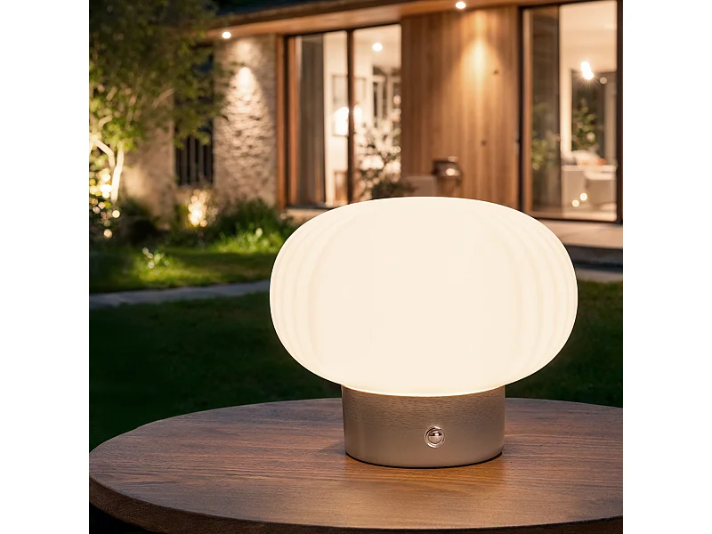 Lámpara de Mesa LED Metal Portátil Exterior con Batería USB Recargable Aluzna Níquel