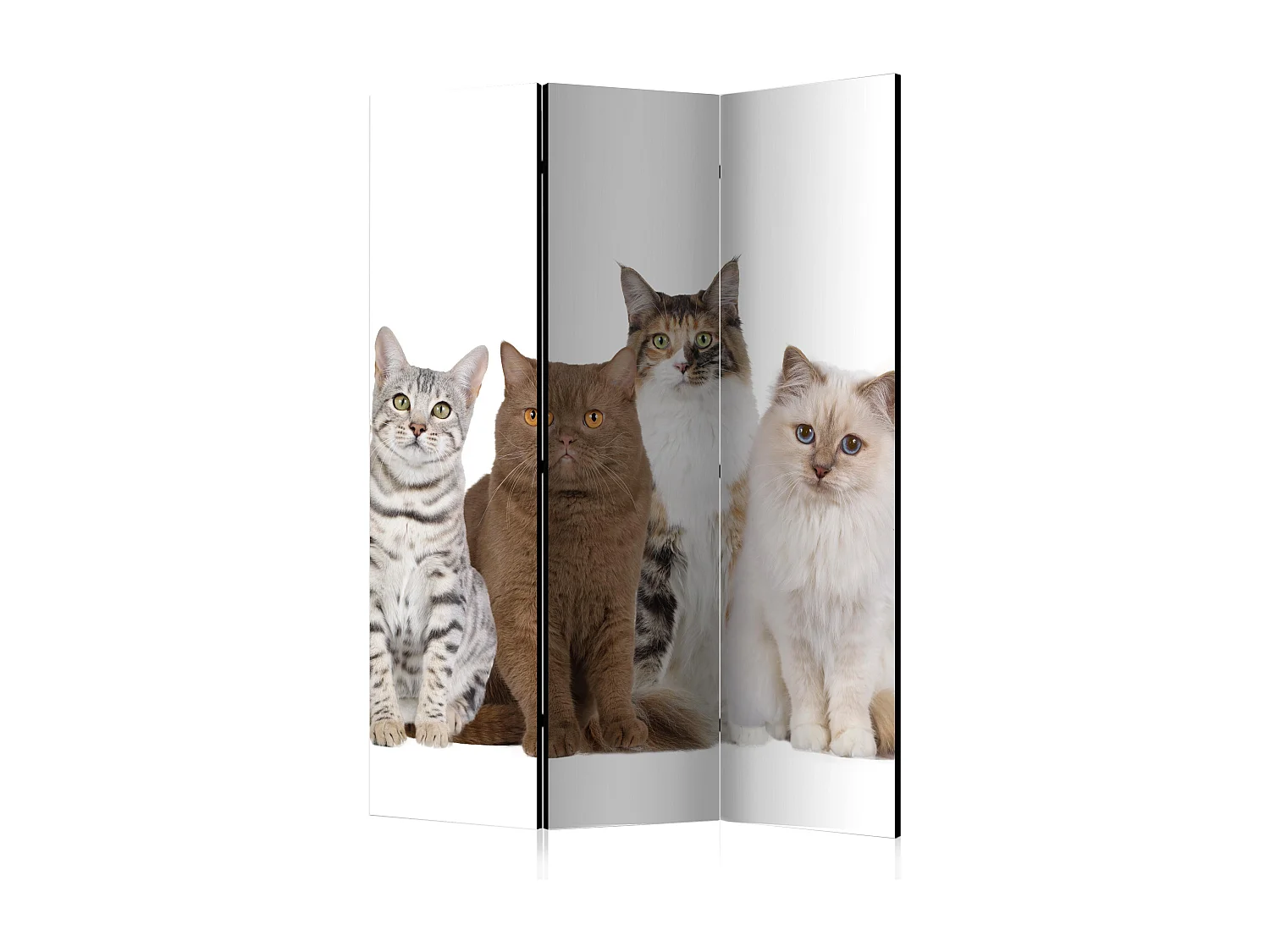 Parawan jednostronny Artgeist Zwierzęta 135 x 172 cm 1 szt