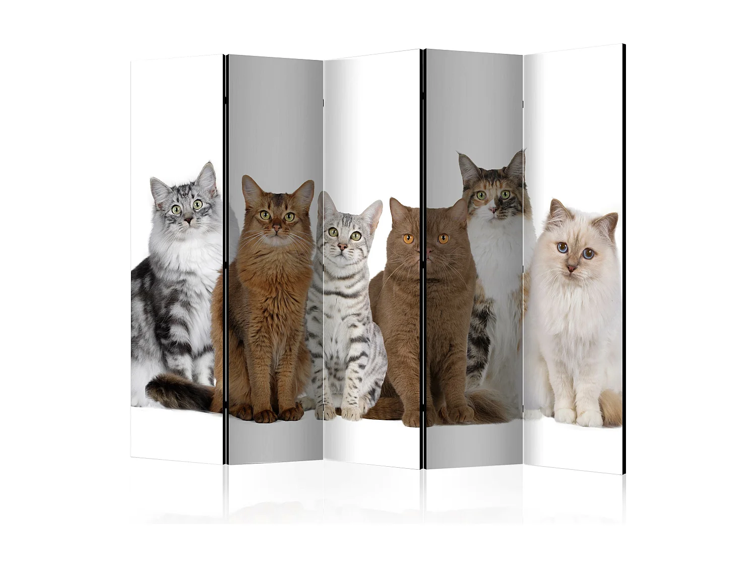 Parawan jednostronny Artgeist Zwierzęta 225 x 172 cm 1 szt