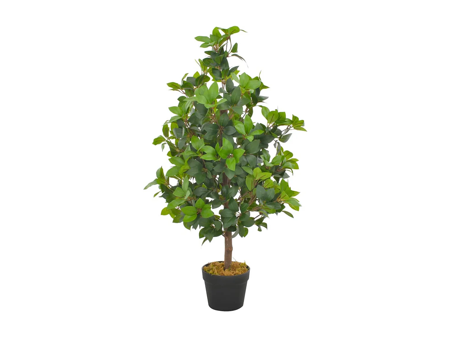 Pianta artificiale con vaso Alloro verde 90 cm