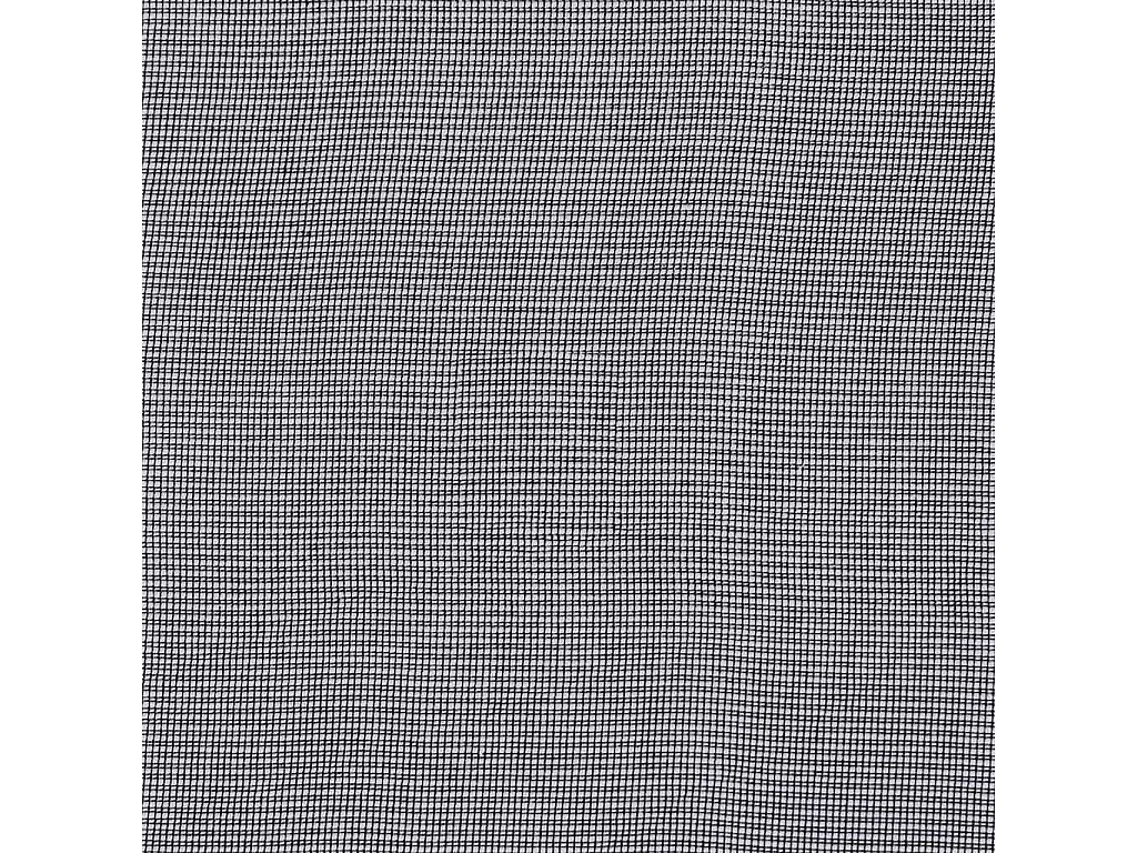 Rideaux en voile avec passants 2 pcs noir