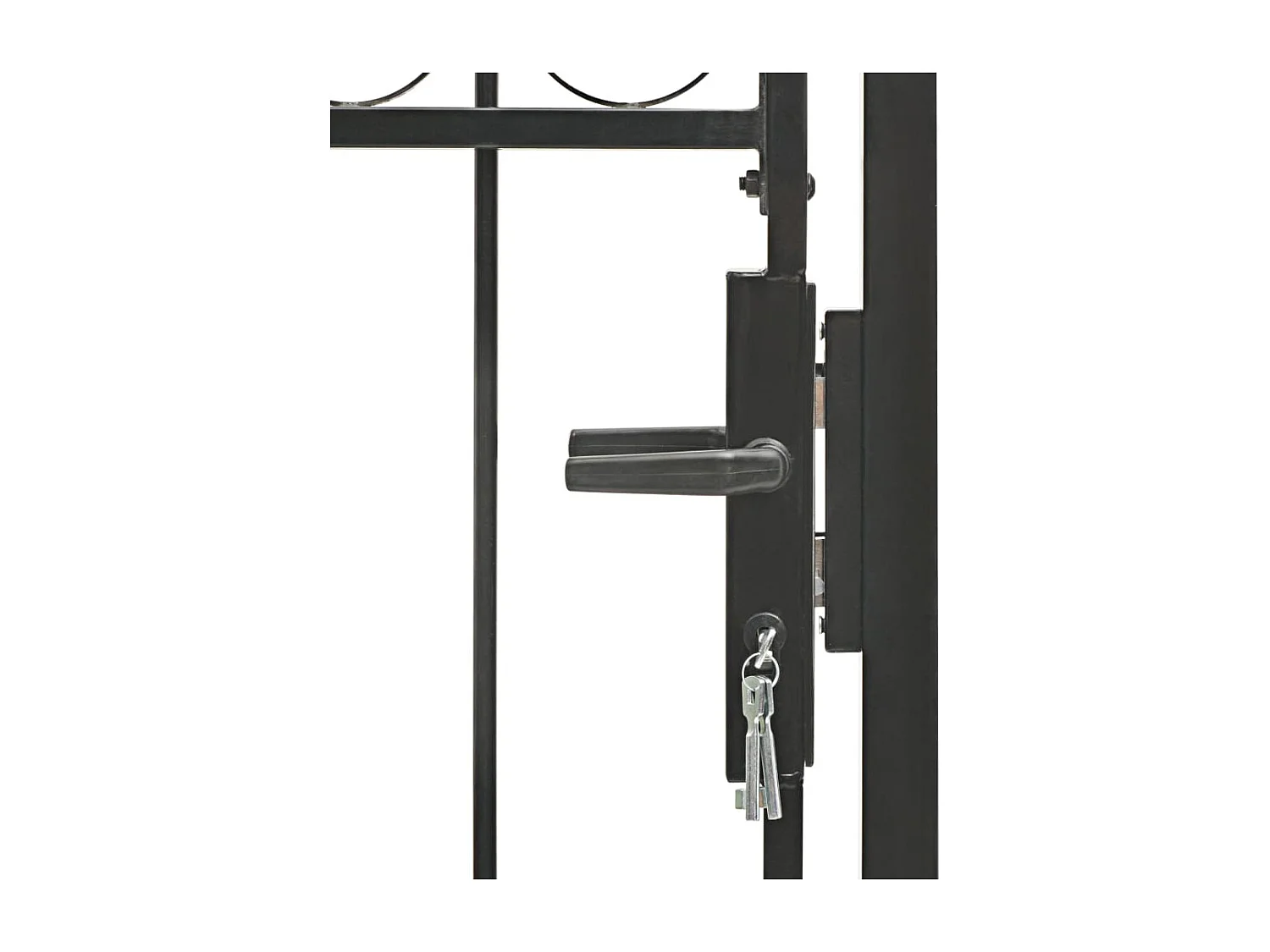 Portail de jardin avec dessus arqué Acier 100x250 cm Noir