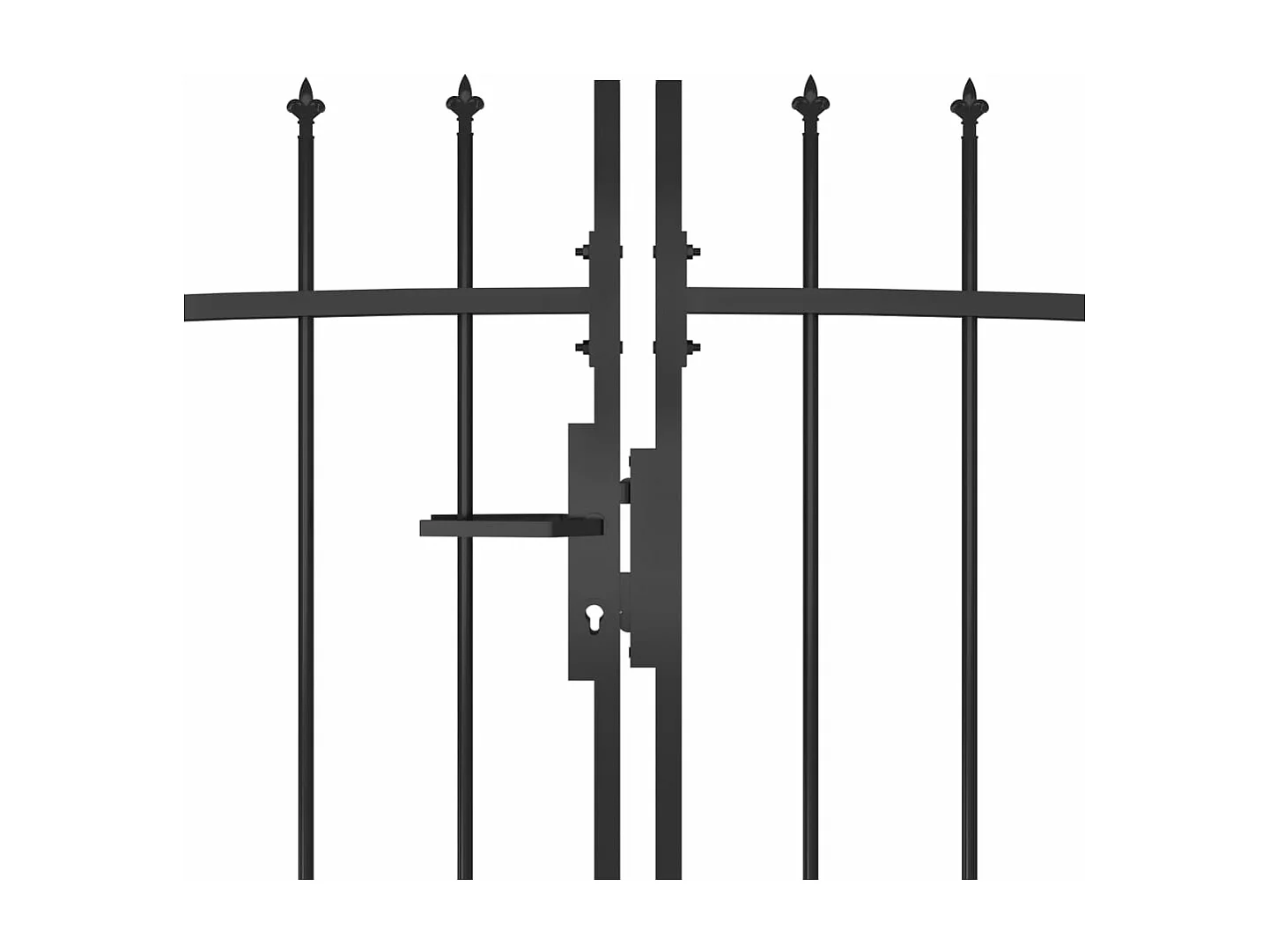 Portail de cl?ture de jardin avec dessus en lance 5x2 m Noir