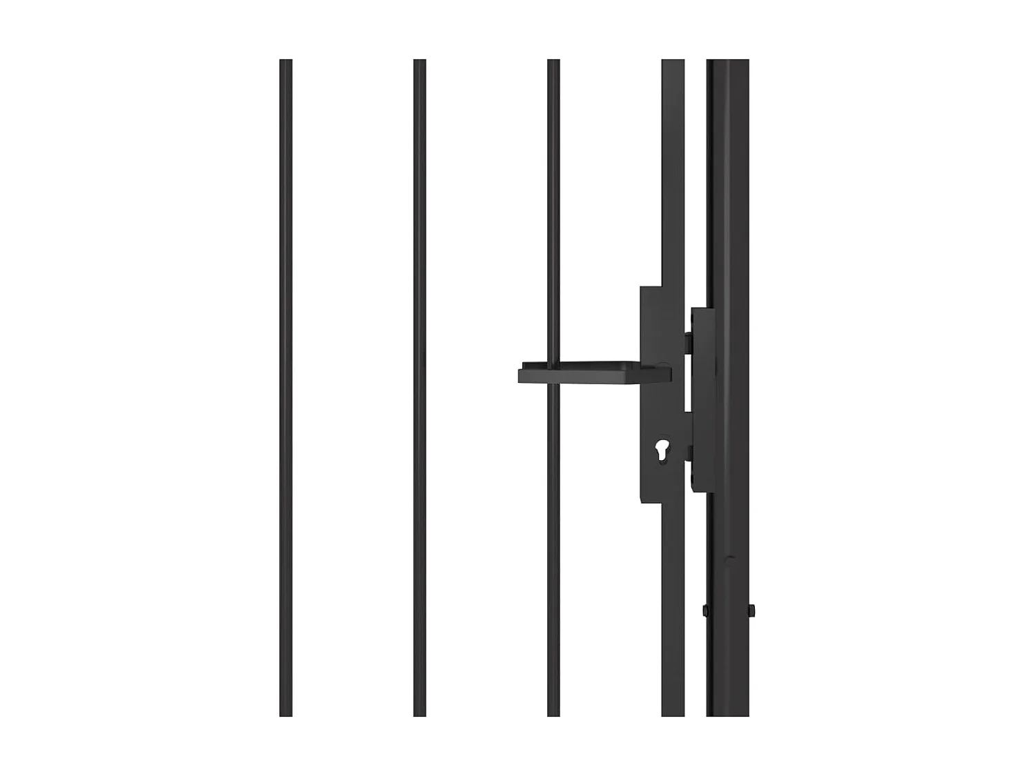 Portail de jardin Acier 1x2,5 m Noir