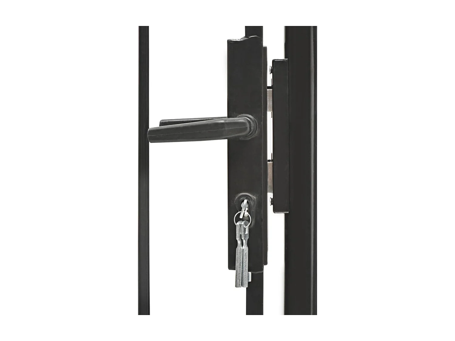 Portail de jardin Acier 1 x 1,5 m Noir