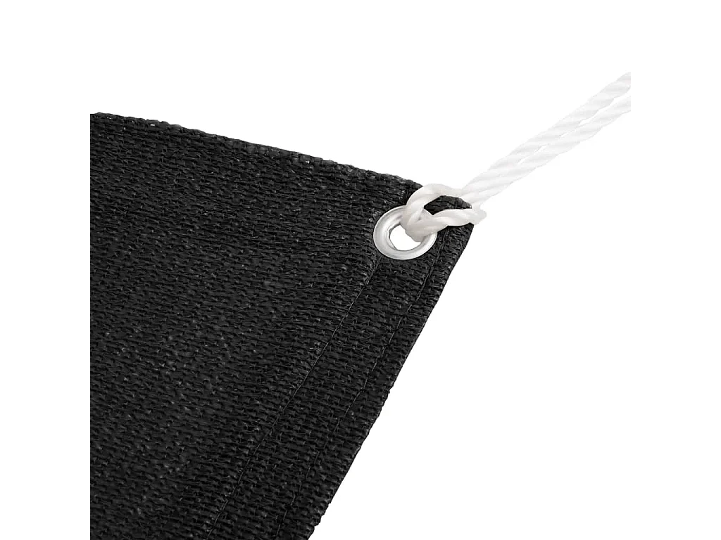 Tapis de tente 250x600 cm Noir