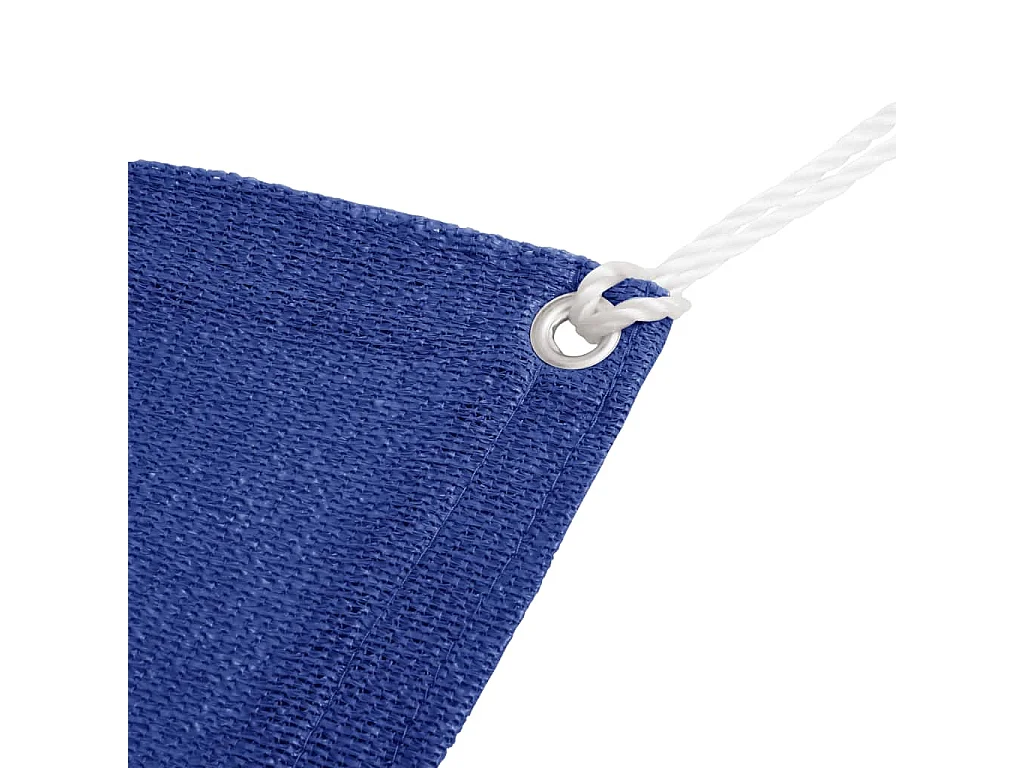 Tapis de tente 250x550 cm Bleu