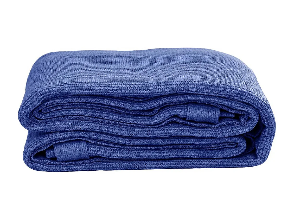 Tapis de tente 250x450 cm Bleu