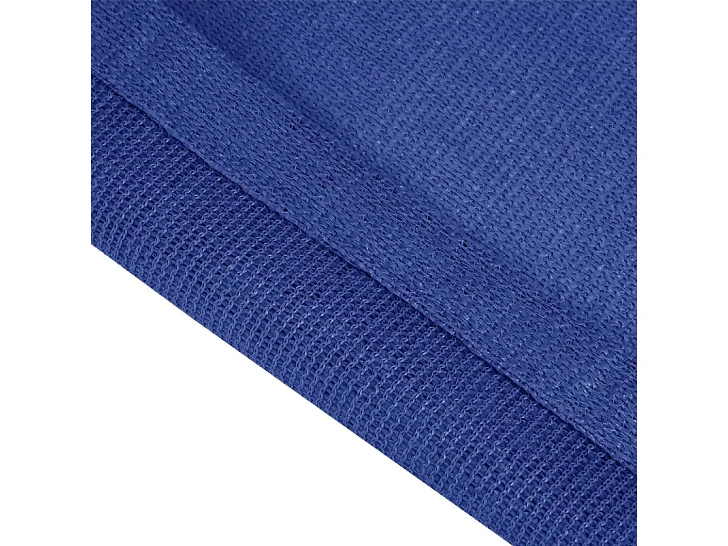 Tapis de tente 250x450 cm Bleu