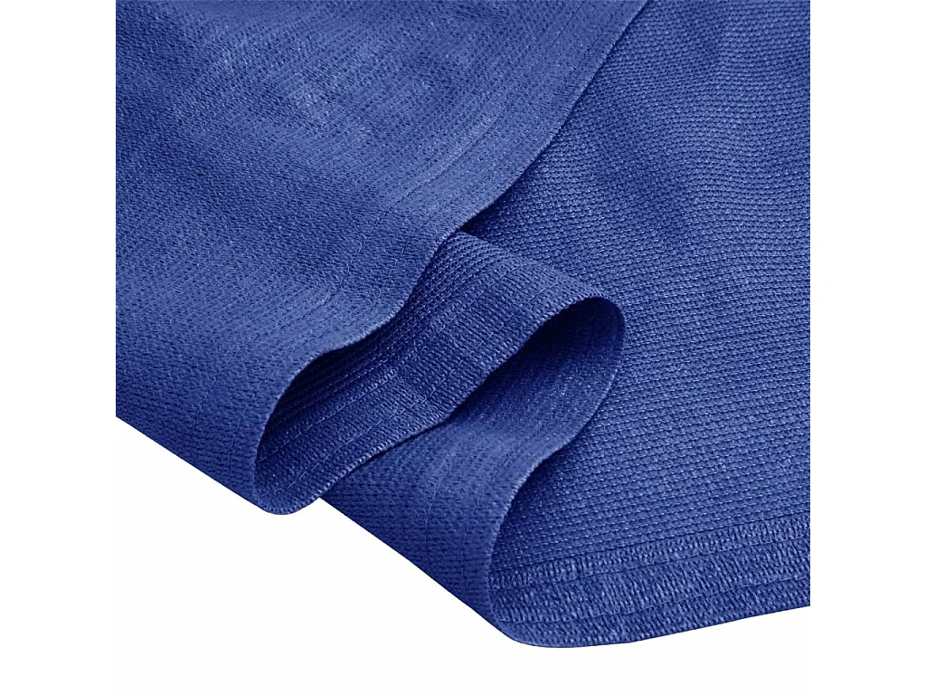 Tapis de tente 250x450 cm Bleu