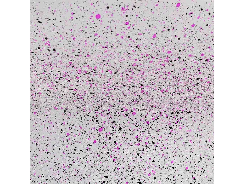 Centro de mesa em bambu bege D30x10h cm