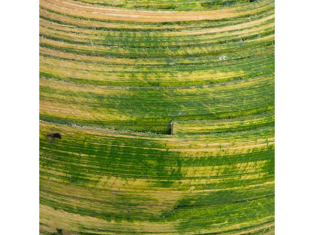 Ensemble plateau et 3 bougeoirs en bois de bambou vert 33x13x3h cm