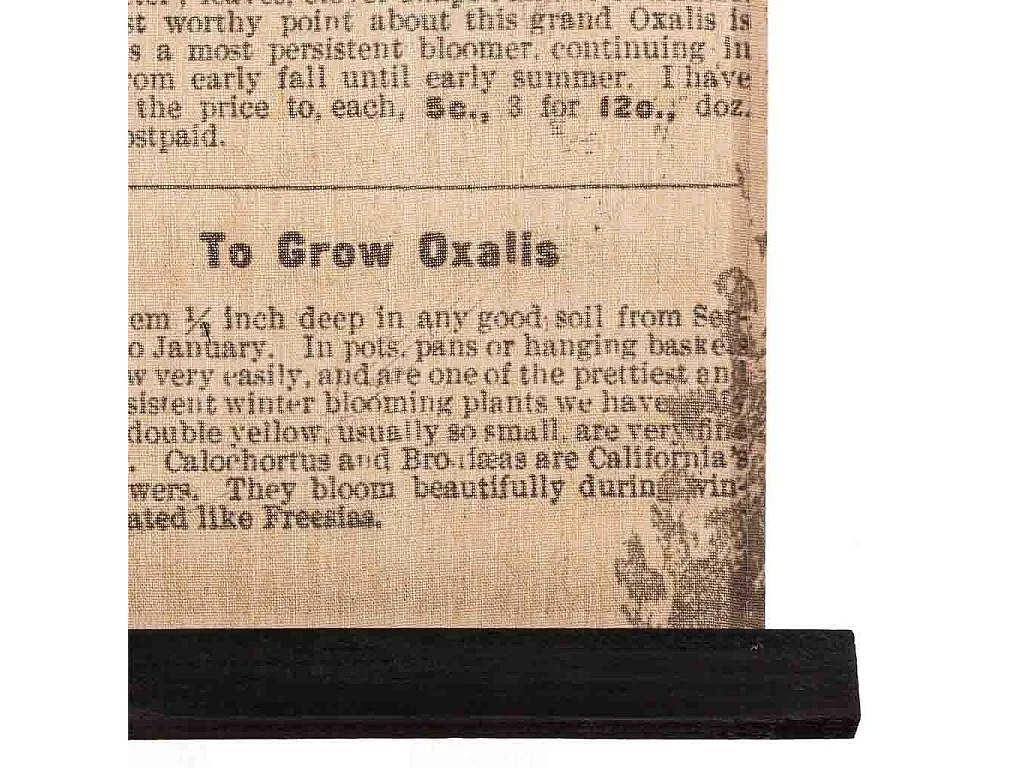 Tela pergaminho em tecido estampado 55x75x2,5