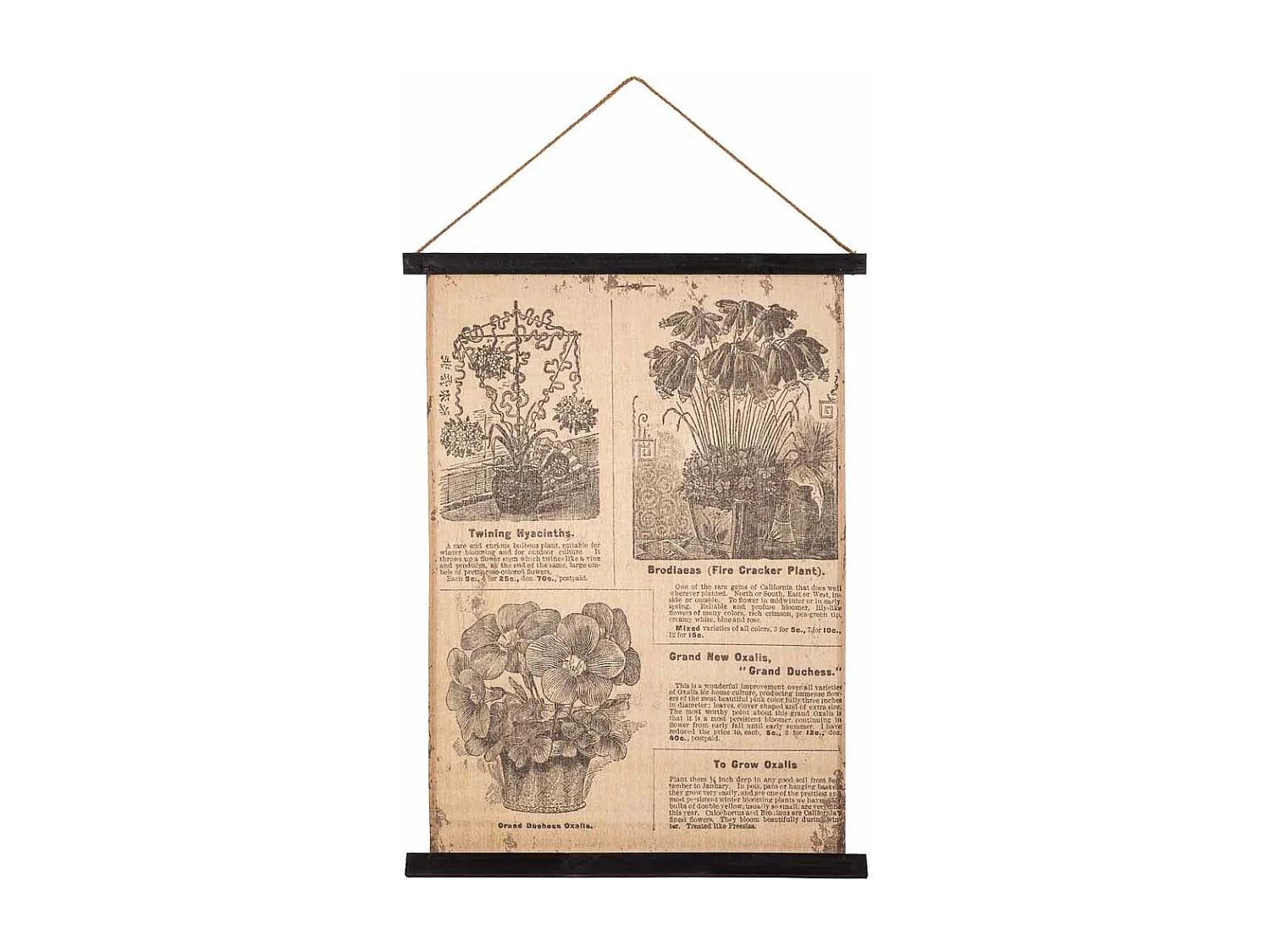 Lienzo pergamino de tela impresa 55x75x2,5