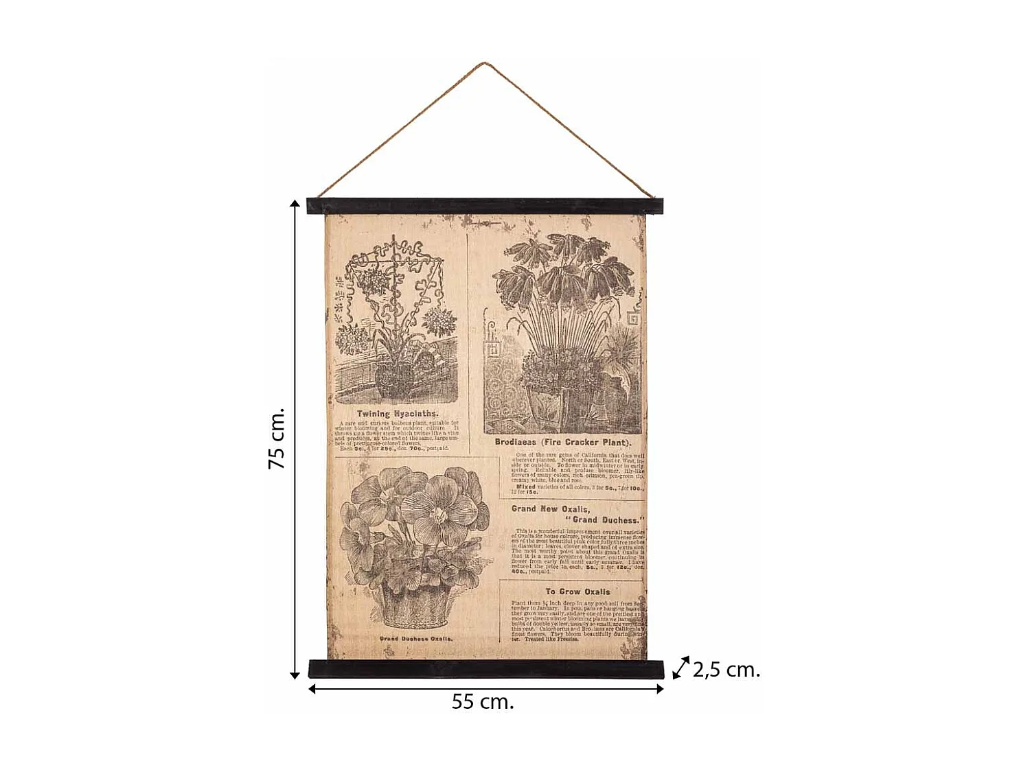 Lienzo pergamino de tela impresa 55x75x2,5