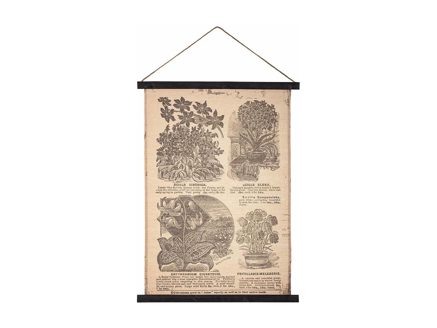 Lienzo pergamino de tela impresa 55x75x2,5